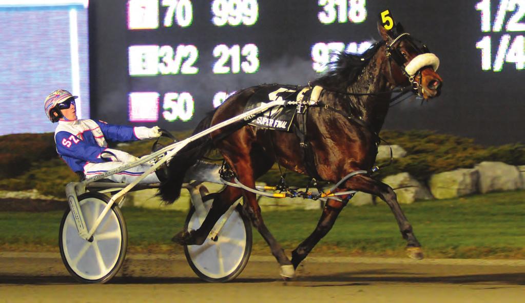FILLY POWER Photo by New Image Media He obtained his trainer s licence in 1993 and two years later, his first win at Western Fair with the Balanced Image trotter Razors Image, one of many castoffs he