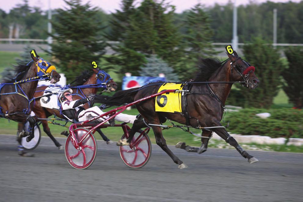 3 record at the Meadowlands winning the $85,000 Classic Series leg over Won The West, Total Truth, Mr Feelgood, Palone Ranger, Western Shore and Casimir Camotion.