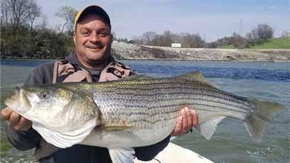 We are a FULL TIME guide service, targeting ALL east Tennessee species: Trophy Striper, Trout, Catfish, Bass, Crappie, White bass,