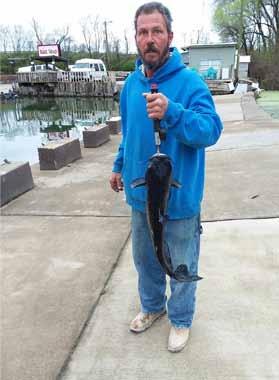 BRING YOUR OWN BAIT CATCH AND RELEASE ONLY! Larry Gilmore - 20 lbs 5 oz 3/17/18. Photo courtesy Gallatin Pay Lake.