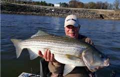 We are a FULL TIME guide service, targeting ALL east Tennessee species: Trophy Striper,