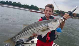 Striper action below Ft. Loudon Dam. Guided by FISH ON!