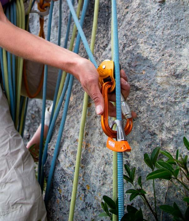 DEVICES ROPES CARABINERS