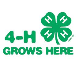Safety, Responsibility and Shooting Sports The 4-H Shooting Sports program will teach you how to be safe and have fun in a 4-H Shooting Sports activity.