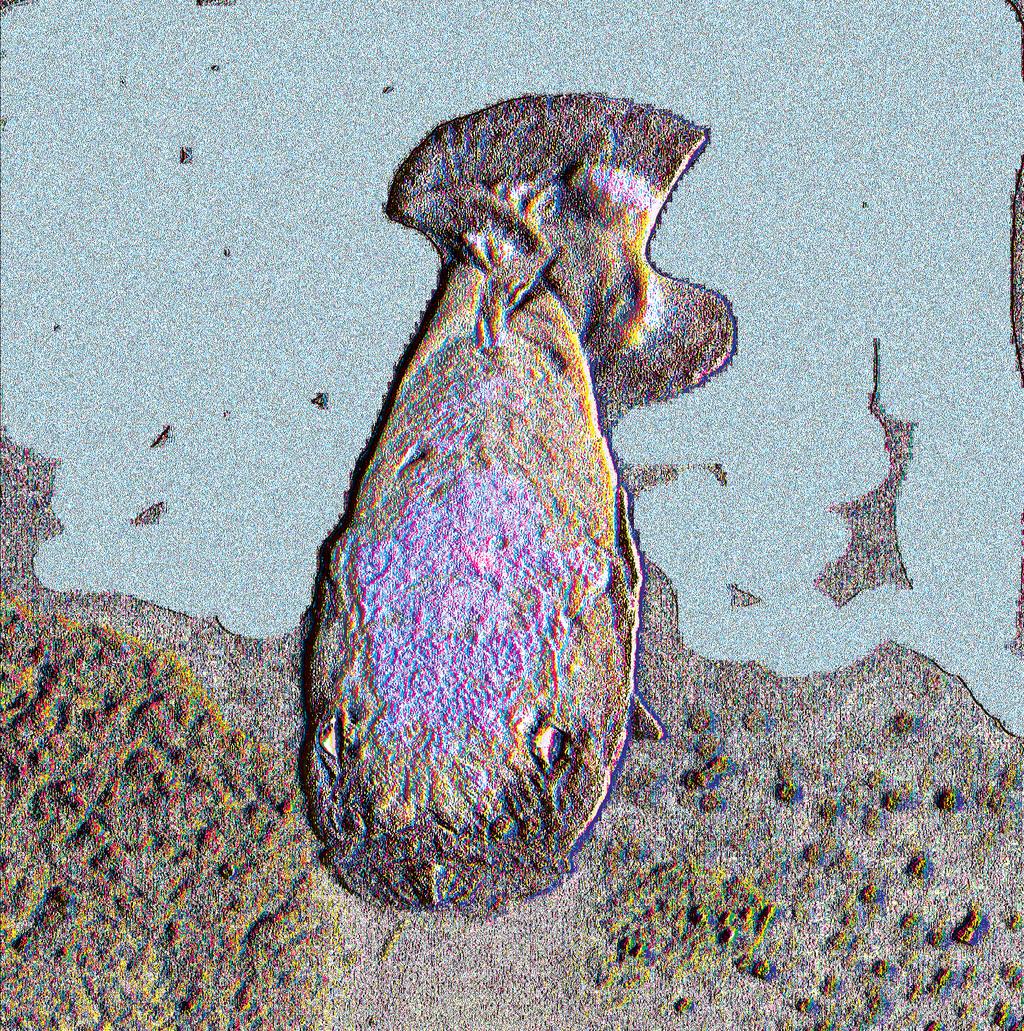 142 PACIFIC SCIENCE. January 2009 Figure 4. Aquarium photograph of holotype of Grammonus nagaredai (Bronson Nagareda).