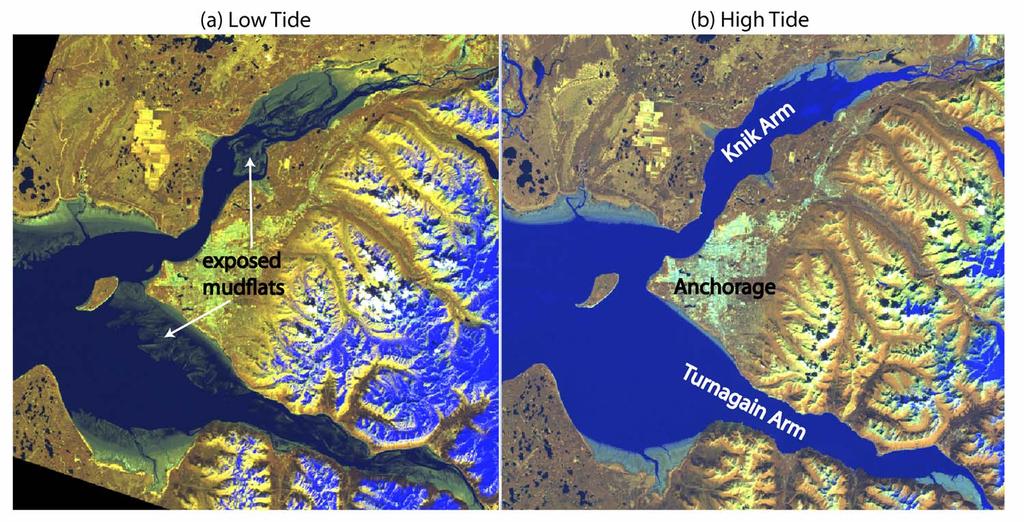 The inundation model lacks data on the shallow topography of the mudflats, so we have combined the model and remote sensing data