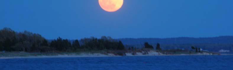 day high tides during each moon period All surveys on