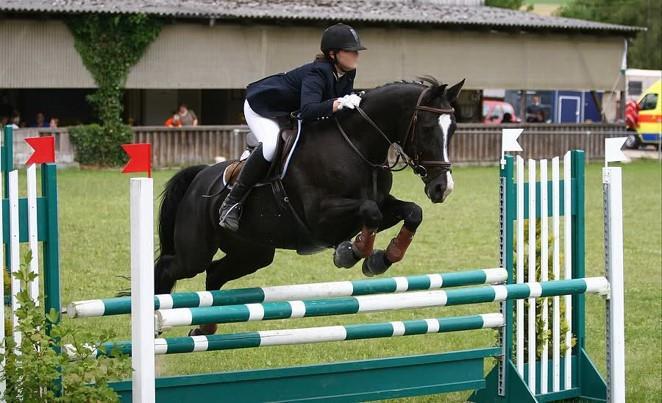 STADIUM/SHOW JUMPING SHOW JUMPING IS ONE TYPE OF JUMPING SHOW JUMPING IS LOCATED IN AN ARENA UNLIKE CROSS COUNTRY WHICH IS IN WOODED AREAS BUT LIKE CROSS COUNTRY YOU HAVE TO FOLLOW A SERIES OF JUMPS
