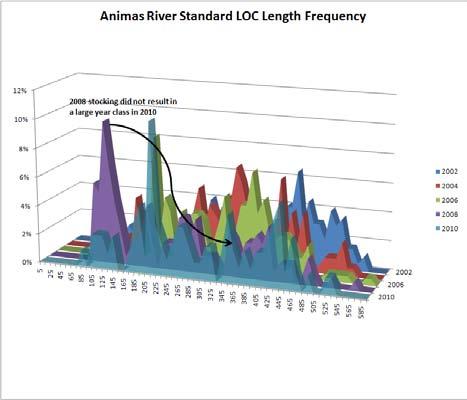 Figure 2 Length frequency charts of rainbow trout (left) and brown trout (right) captured in the Animas River Standard Regulation reach during 2010 (orange area) fish inventory.
