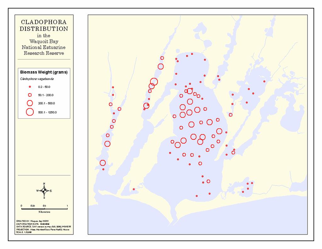 Figure 14 Map of Macro Algae Distribution Performed at the Waquoit Bay Reserve (Bio-Mapping 2006) Conclusion: The challenges for an acoustic bathymetric survey in an environment like those