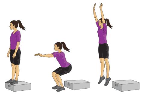 Depth Jumps Starting from a box or step, drop down to land on both feet,