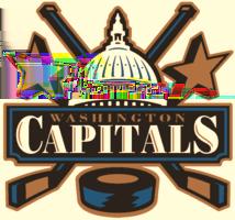 Washington Capitals Record: 29-41-12-70 Points 5th Place - Southeast