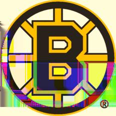 Boston Bruins Record: 29-37-16-74 Points