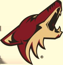 Phoenix Coyotes Record: 38-39-5-81 Points 5th Place - Pacific Division
