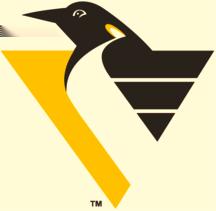 Pittsburgh Penguins Record: 42-28-9-3 - 96 Points 3rd Place - Atlantic Division Lost - Eastern