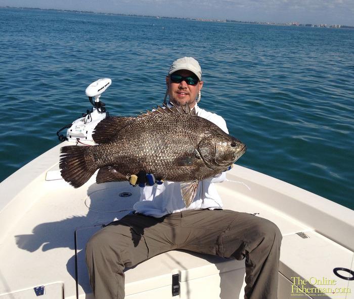 Catching Tripletail 101 Few fish come as close to the delicacy of tripletail. In fact, when many anglers see a tripletail, the sport of catching them it is the last thing on their mind!