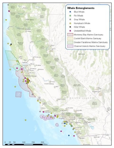 Figure 2. Reported whale entanglement locations from 2014 through July 2016 off California (left) and Oregon and Washington (right).