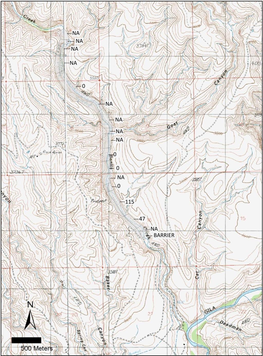 Figure 2. Yellow bullhead captures for Bonita Creek, Graham Co., Arizona, sampling September 29 to October 2, 2015.