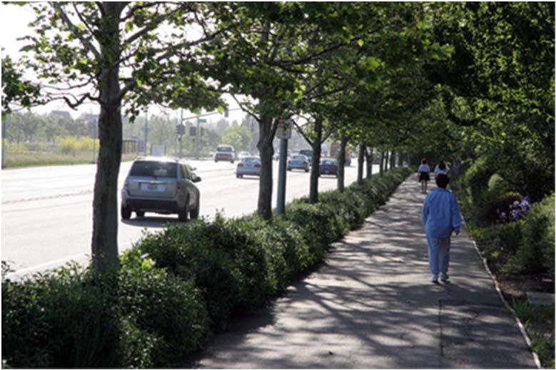 Option 2 Roadside Landscape Features (Tree Lawn) The use of objects near the edge of the roadway will provide a sense of enclosure and contribute to a reduced apparent width.