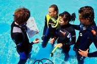 We do regular refresher courses for people just like you where we ease you back into diving with a few of the basic exercises and a nice, easy dive.