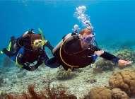 becoming a dive professional! Duration: min. two weeks; Please enquire for prices and availability.