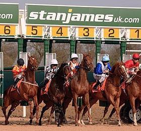 THE HEMM PLAN FOLLOW THESE RULES AND YOU WILL ENJOY A SYSTEM THAT NO LONGER HAS LOSING RUNS. IN 5 YEARS, THE LONGEST LOSING RUN THIS SYSTEM HAD WAS JUST 6 RACES, AND ONLY 4 IN THE LAST YEAR.