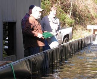 BULLRUN RIVER SIGN-UP 2015 Bull Run Acclimation pond project I want to thank the 20 Sandy River Chapter members and the 7 other volunteers who also helped take care of the Spring Chinook Smolts at