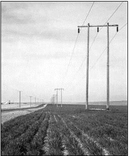 47. Fields located alongside roads predictably have power lines along them. These can often be almost invisible from the air look for the poles at evenly spaced intervals.
