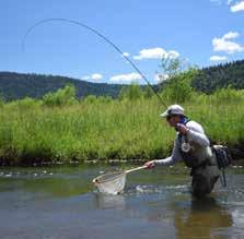Weminuche Creek provides an amazing opportunity for the most discerning angler to catch 11 different trout species,