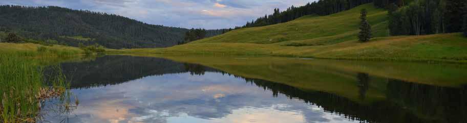 HIDDEN LAKE RANCH LIVE WATER Live Water (Continued): Martin Lake: The largest of the 6 stillwater fisheries on the ranch, Martin Lake is a 8-acre alpine lake surrounded by lush green meadows on one