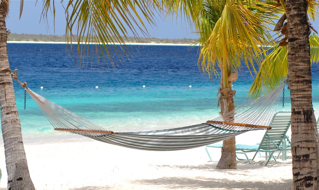 15 REASONS TO VISIT BONAIRE January 16, 2015 Alison Lewis Looking for an amazing Caribbean getaway?
