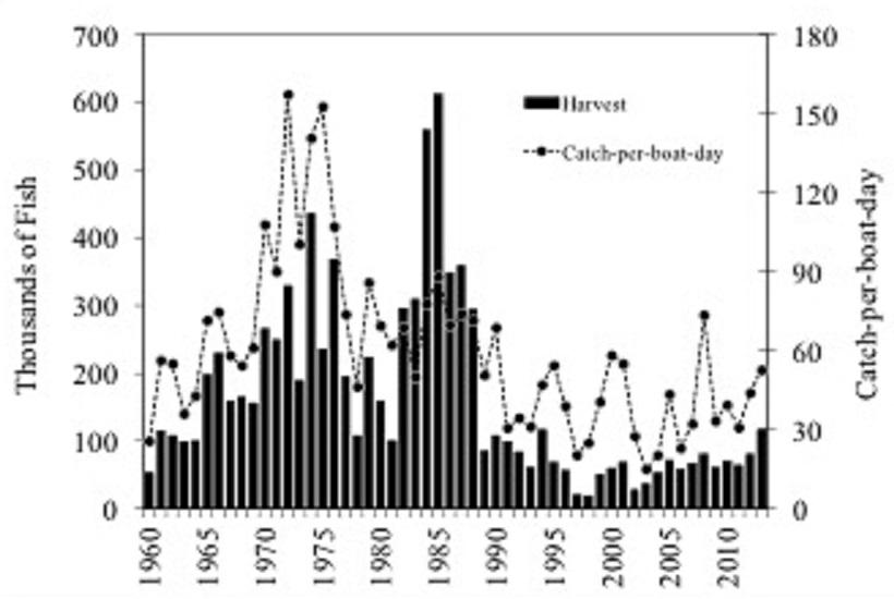 1992 and have not rebounded. Figure 25 U.S. commercial drift gillnet catch-per-boat-day of fall-run chum salmon in Taku Inlet plotted with Taku River fish wheel chum salmon catch, 1987 2013.