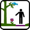 Respect Nature Keep to pathways and well-established trails to protect habitat.* Do not collect plant or animal material.