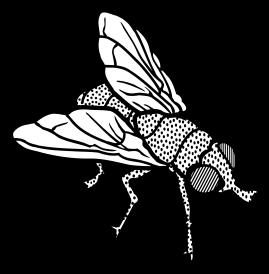 park. Dragonfly cricket firefly Hornet June Bug Fly