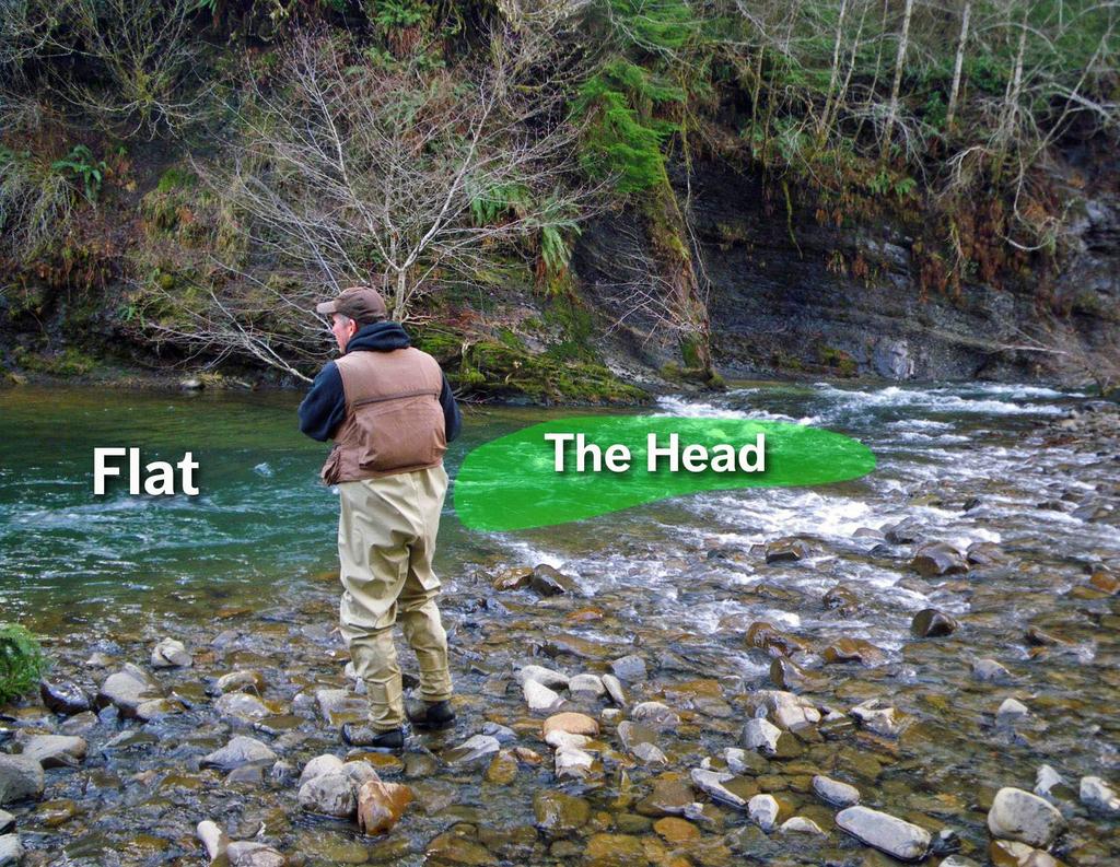 Essential Spot #3: The Head The head of a flat is also a key steelhead holding zone in low, clear water conditions.