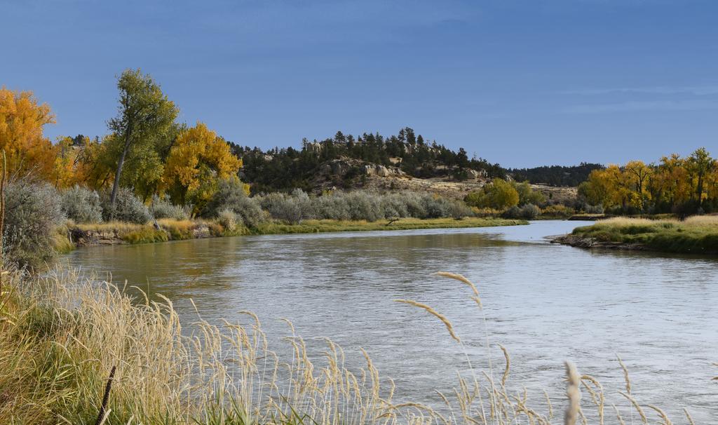 6 miles of the Big Horn River, this property provides excellent habitat for all species including monster bull elk,