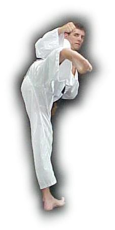 Side turning kick (yop dollyo chagi) This is a variation of a turning kick. One of the advantages is the ability to attack the opponent standing abreast or in front.