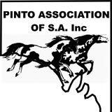 AB064 Senior Pinto Gelding 4 years & over, over 14.2hh CHAMPION SENIOR PINTO GELDING RESERVE CHAMPION SENIOR PINTO GELDING AB065 Senior Pinto Stallion 4 years & over, n/e 10.