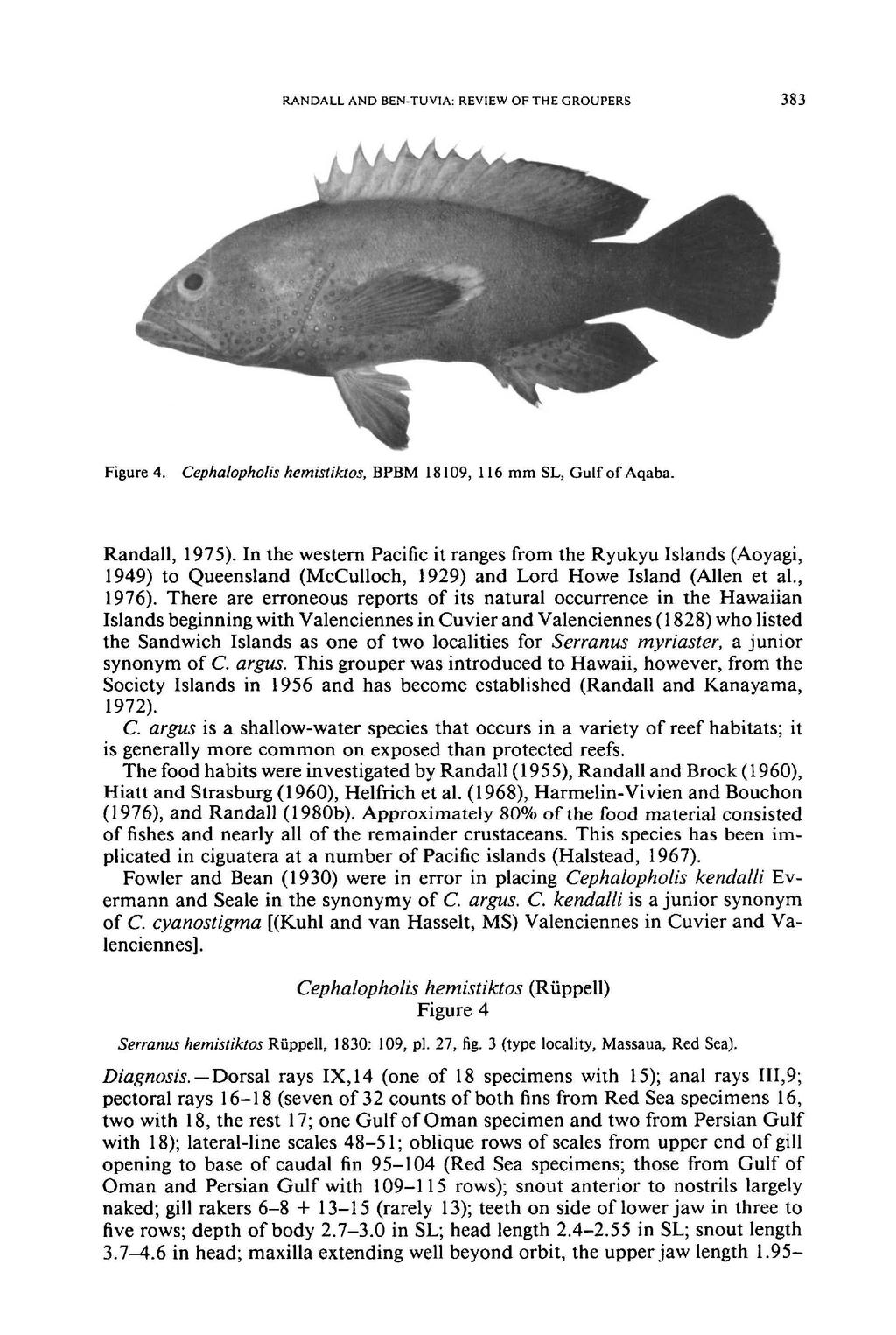 RANDALL AND BEN-TUVIA: REVIEW OF THE GROUPERS 383 Figure 4. Cephalopholis hemistiktos, BPBM 18109, 116 mm SL, Gulf of Aqaba_ Randall, 1975).