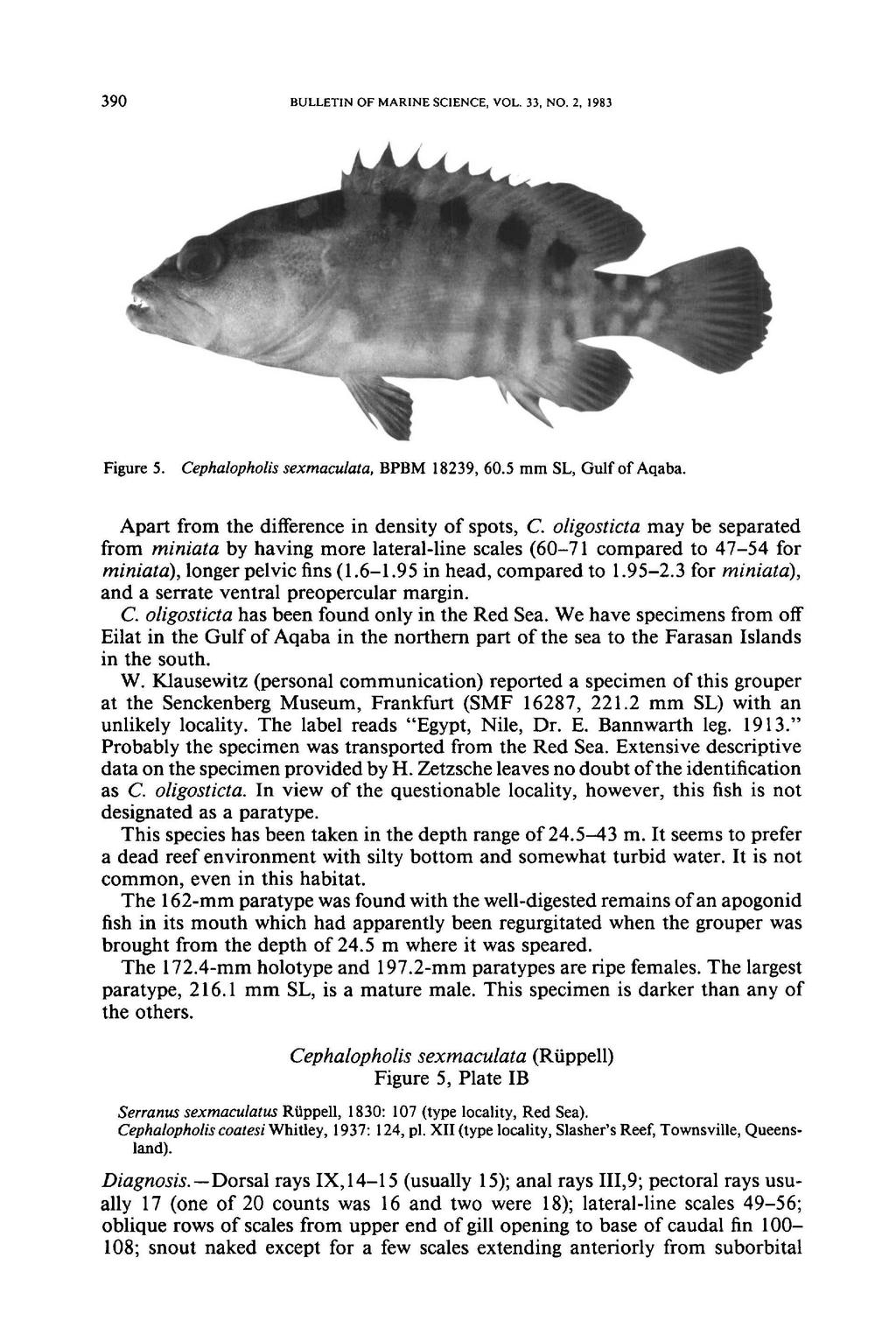 390 BULLETIN OF MARINE SCIENCE, VOL. 33, NO.2, 1983 Figure 5. Cephalopholis sexmaculata. BPBM 18239,60.5 mm SL, Gulf of Aqaba. Apart from the difference in density of spots, e.