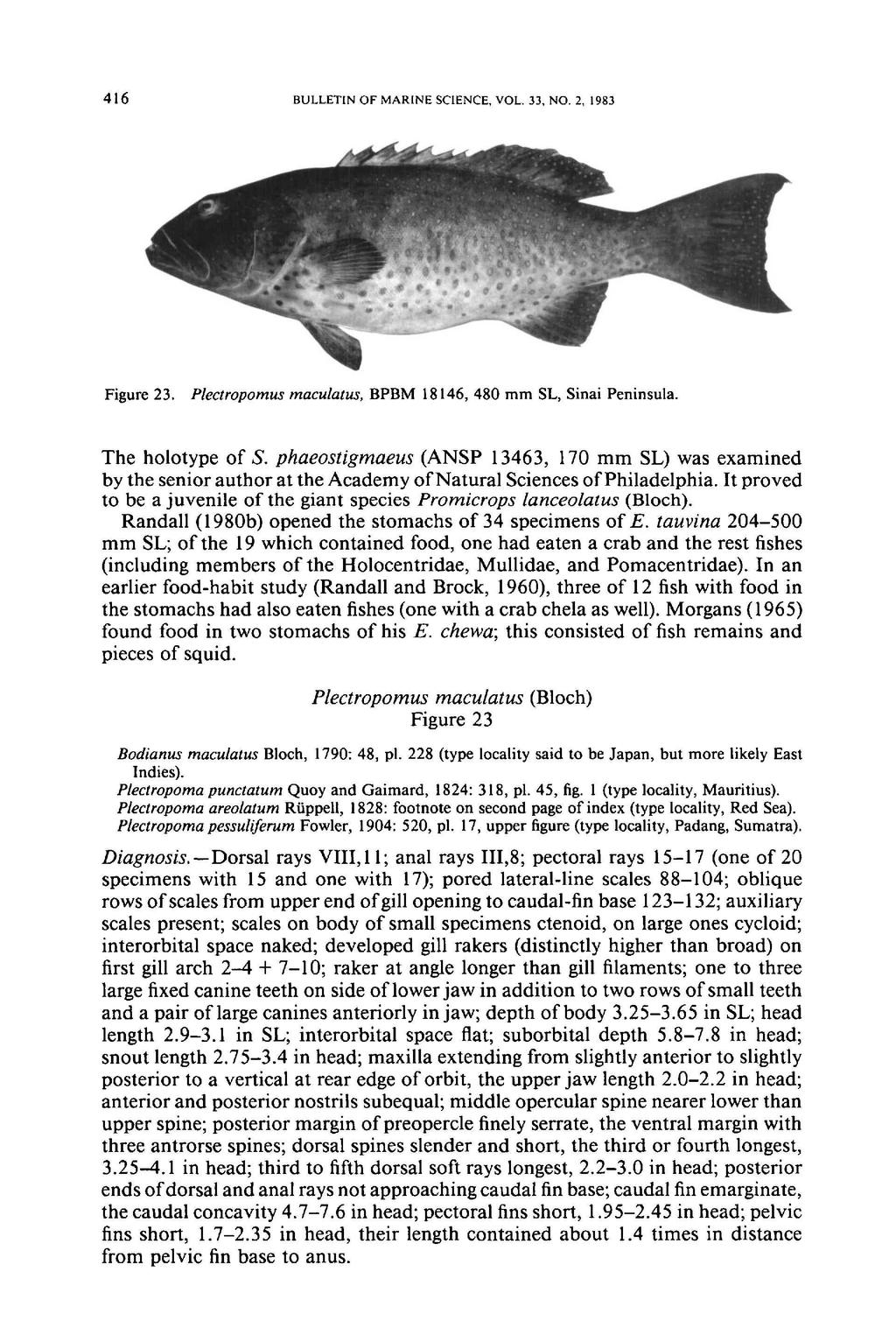 416 BULLETIN OF MARINE SCIENCE, VOL. 33, NO.2, 1983 Figure 23. Plectropomus maculatus, BPBM 18146,480 mm SL, Sinai Peninsula. The holotype of S.