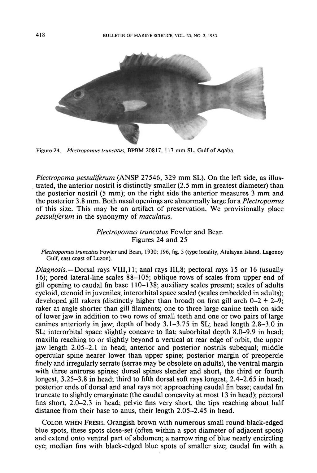 418 BULLETIN OF MARINE SCIENCE, VOL. 33, NO.2, 1983 Figure 24. Plectropomus truncatus. BPBM 20817, 117 mm SL, Gulf of Aqaba. Plectropoma pessuliferum (ANSP 27546, 329 mm SL).