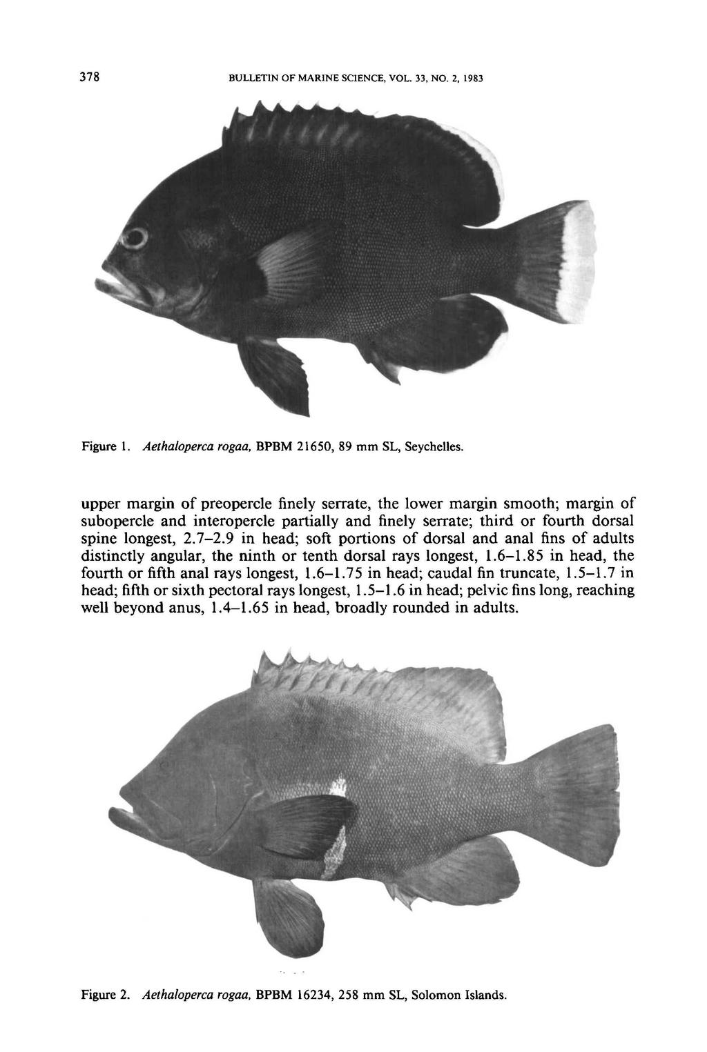 378 BULLETIN OF MARINE SCIENCE, VOL. 33, NO.2, 1983 Figure 1. Aethaloperca rogaa, BPBM 21650, 89 mm SL, Seychelles.