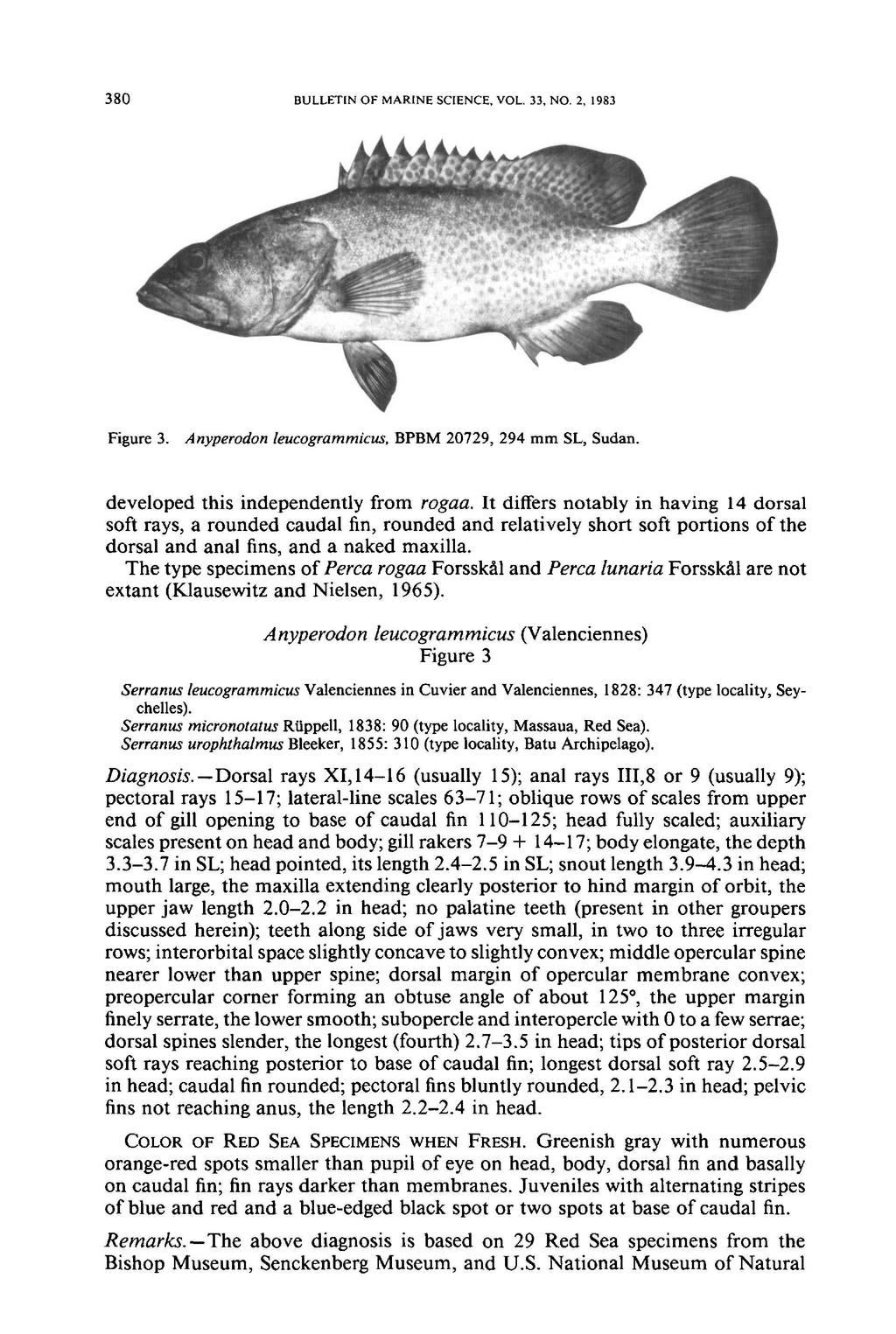 380 BULLETIN OF MARINE SCIENCE, VOL. 33, NO.2, 1983 Figure 3. Anyperodon leucogrammicus. BPBM 20729, 294 mm SL, Sudan.