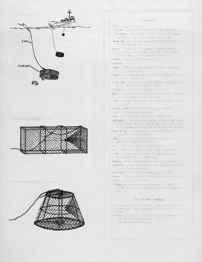 Set crab pots Buoy Rectangular blackcod pot Basket-shaped blackcod pot Glossary bow front of a vessel. cod end the narrow, closed end of a trawl net.