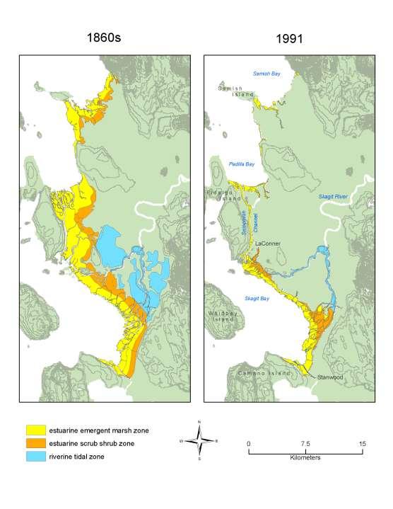 Skagit Estuary Habitat Change Skagit tidal delta