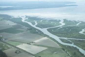 Rearing opportunity of tidal delta rearing Chinook
