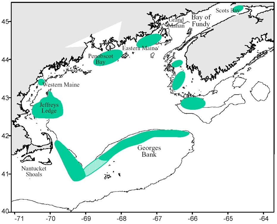Figure 2: Generalized view of the current major herring spawning areas