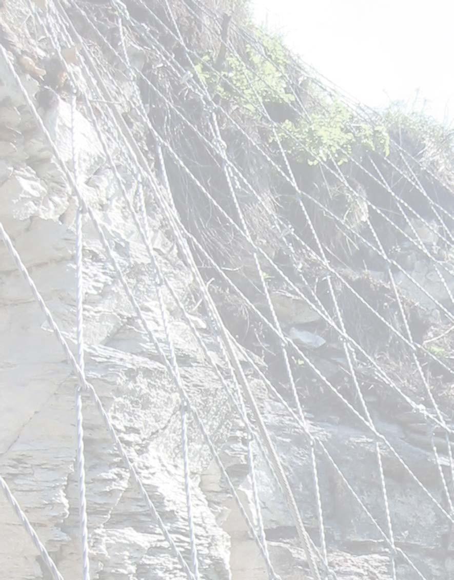 SPIDER is superior to conventional wire rope nets... In every way.
