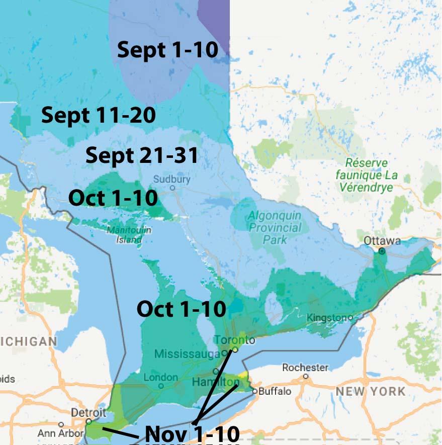 Ontario Average FIRST Frost Dates http://www.